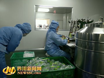 蓉城探秘 化妝品開放日引領(lǐng)市民走進(jìn)本土制造之美